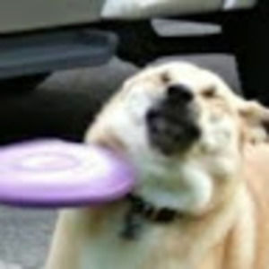 Meet your Posher, Georgia